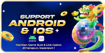 IDN22